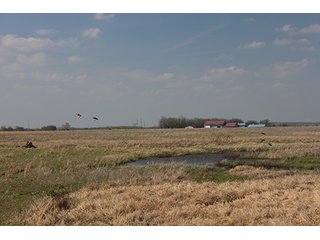 Tract 10 - LAND & MINERAL ACRES OKLAHOMA AUCTION, 588+/- Land & Producing Mineral Acres offered in 24 Tracts in Okmulgee County